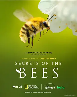 蜜蜂的秘密 Secrets of the Bees